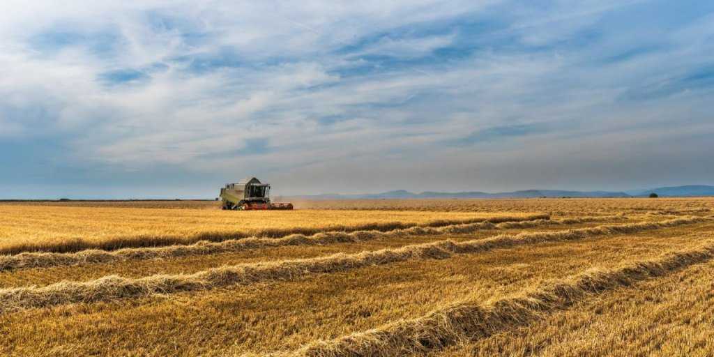 
                    Минсельхоз США повысил прогноз экспорта пшеницы из России
                