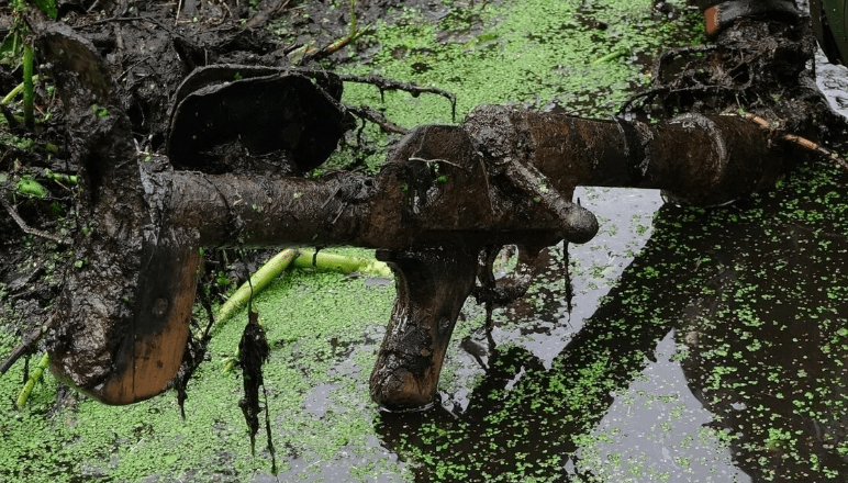 Торфяные болота: боевые артефакты ВОВ