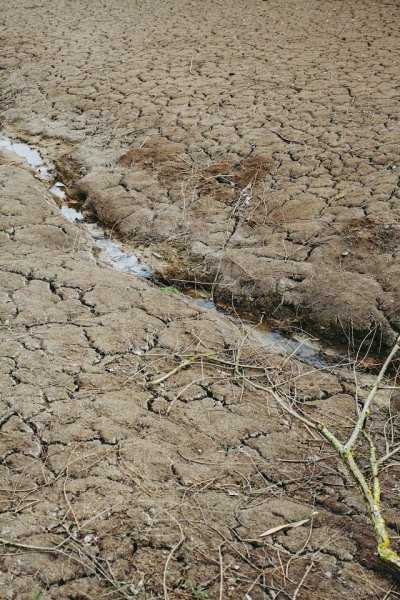 Итальянские власти расчитывают на спасение от засухи с помощью экстрасенса