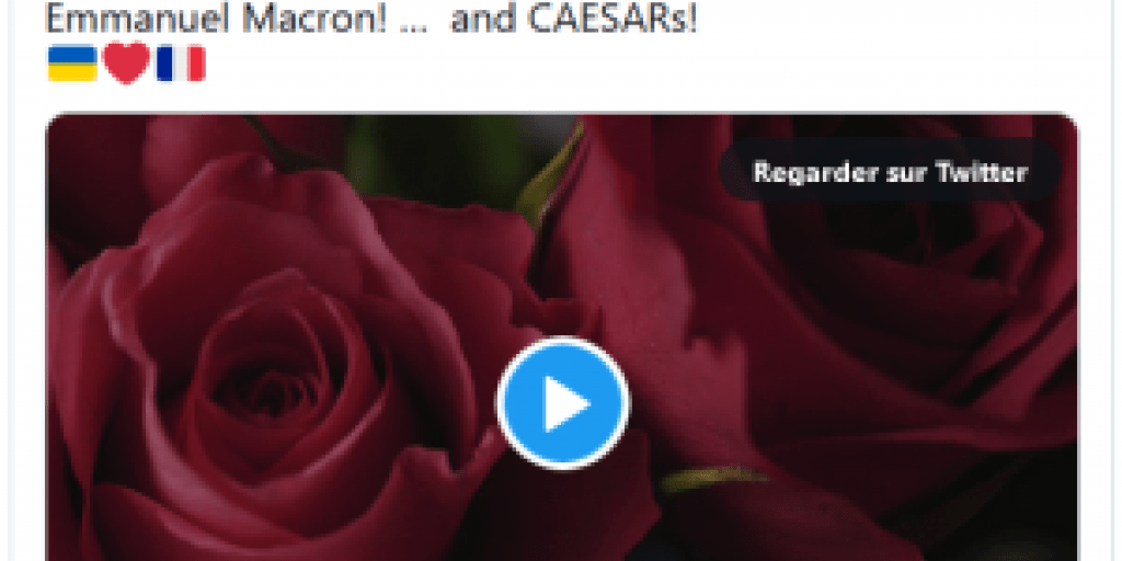 «Шоколад, розы, артиллерия»: во Франции не оценили «романтический жест» Украины для увеличения поставок САУ CAESAR