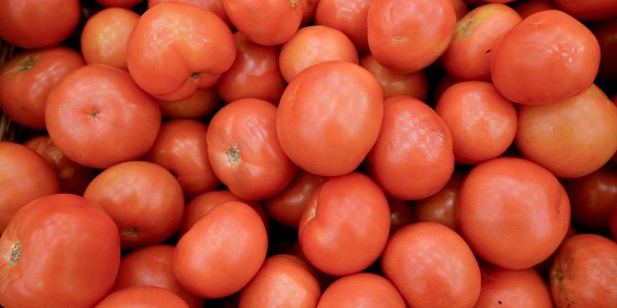 «Запретный плод»: диетолог Мухина перечислила продукты, которые следует избегать летом