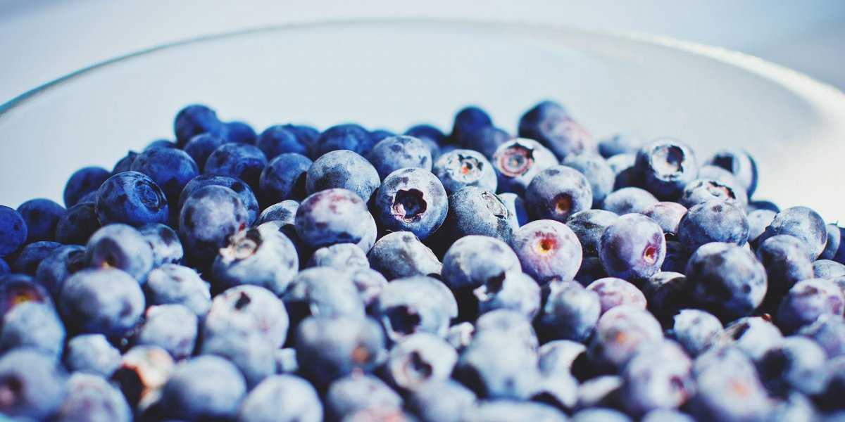 «Запретный плод»: диетолог Мухина перечислила продукты, которые следует избегать летом