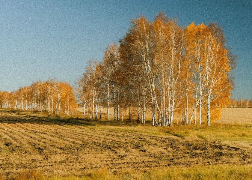 Его искали 23 года и нашли только сейчас. История самого везучего маньяка России из Барнаула.