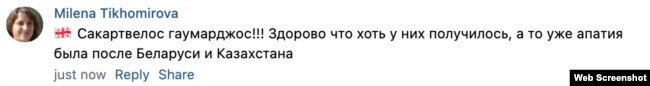 Грузия: «фабрика эльфов» может быть использована не только против России