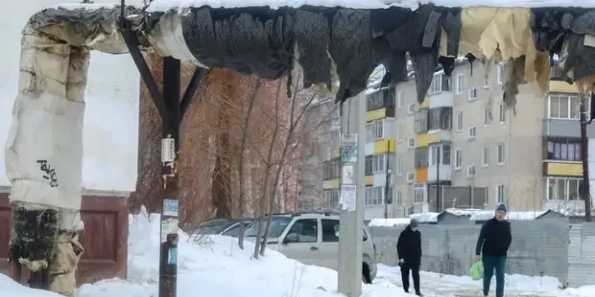 Владелица патронного завода и котельной Климовска с деньгами бежала в Германию