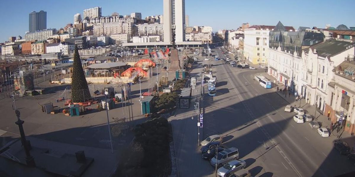 Началась проверка. Бойцовский поединок в центре Владивостока рассудят в полиции