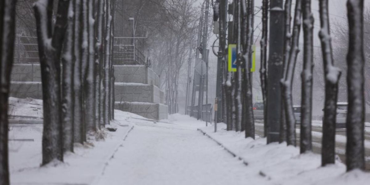 Рухнут до -36 °С. Лютые морозы вернутся в Приморье