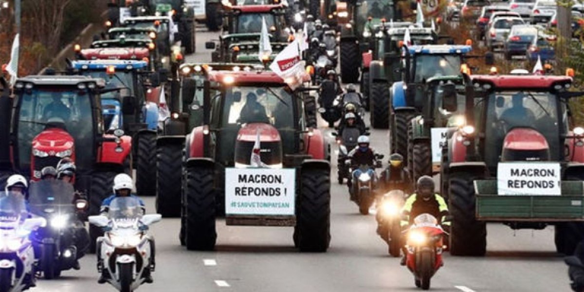 Фермеры готовят осаду Парижа. Из-за чего взбунтовались аграрии Европы
