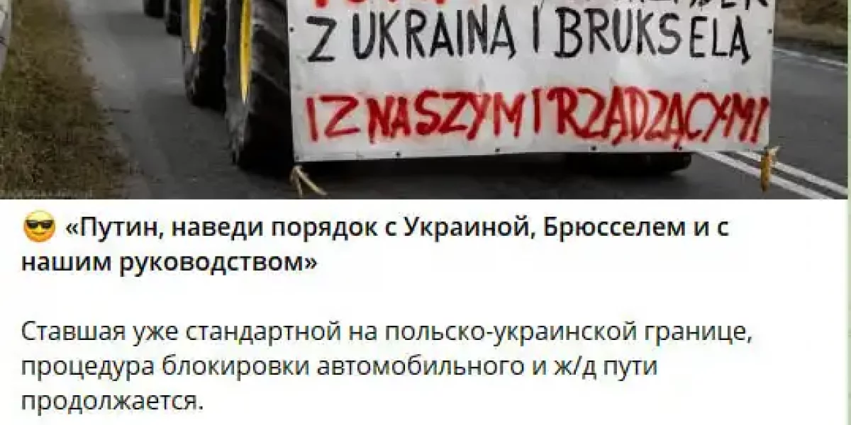 Поляки умоляют Путина ввести войска: Объявлен "Марш свободы" на Варшаву