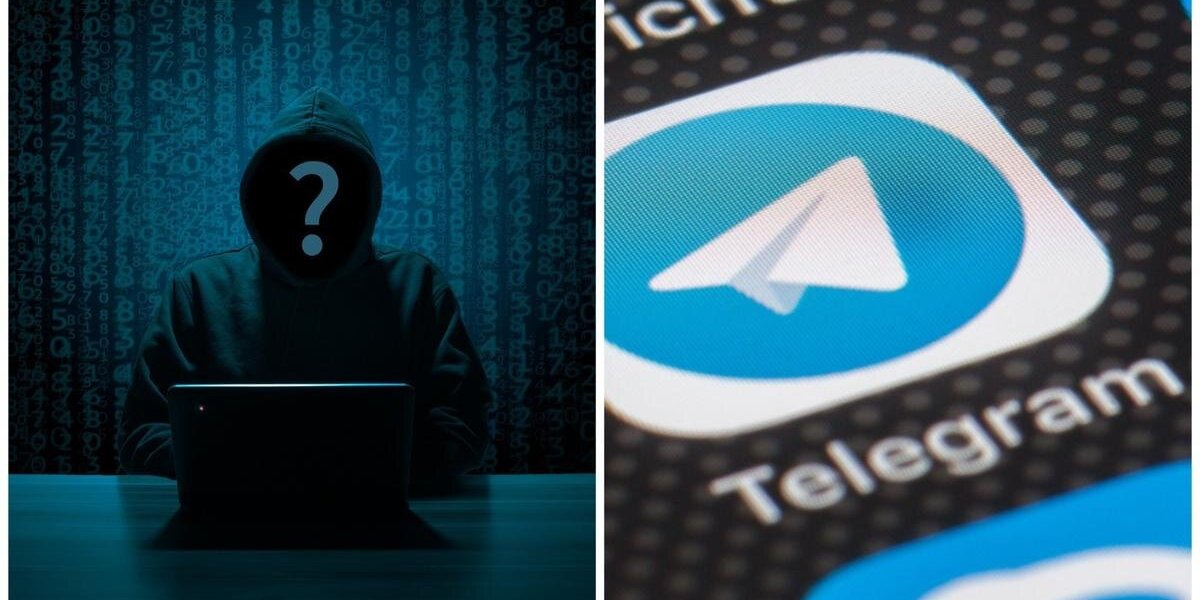 Почему Telegram не блокирует террористов: IT-эксперт Мясоедов назвал причину