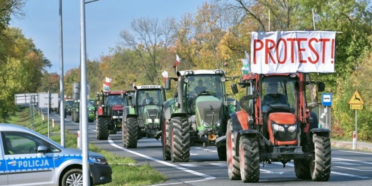 Даже в протестах фермеров Запад увидел след В.Путина, но от продуктов из РФ отказываться не хотят