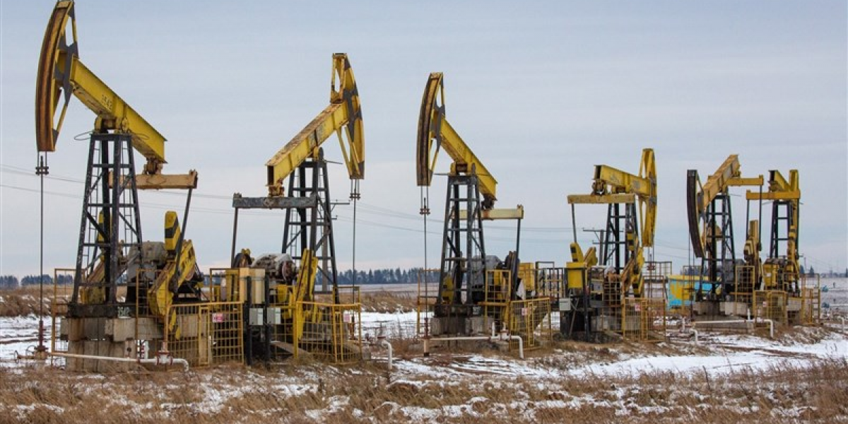 Реакция англоязычных комментаторов на слова Путина: «Нефтяная отрасль будет завалена работой "еще 100 лет"»