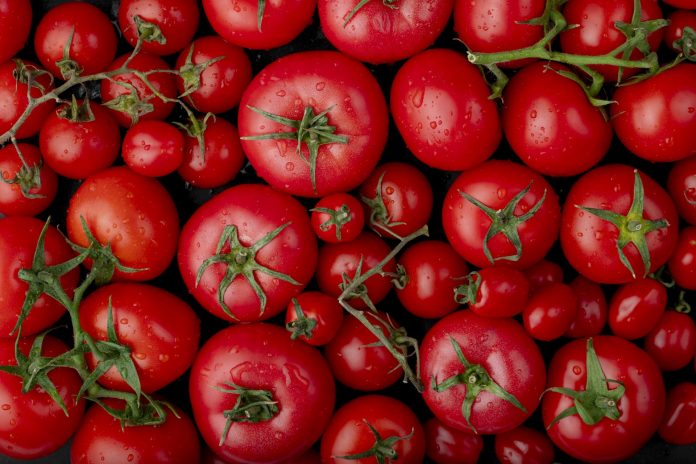 Устанете собирать урожай: копеечная специя для томатов
