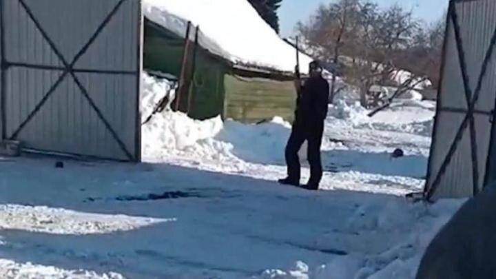 "Я у вас всё отберу!": Многодетный Музафар развязал открытый террор против соседей по участку. Под раздачу попал ветеран СВО