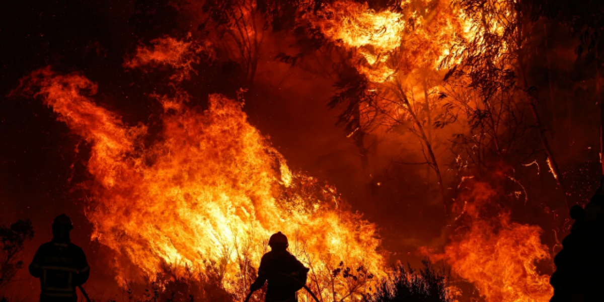 Учёные озвучили неочевидную причину усиления пожаров