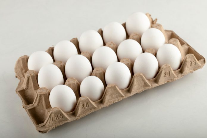 В магазины привезли новые яйца: цены по-настоящему удивят