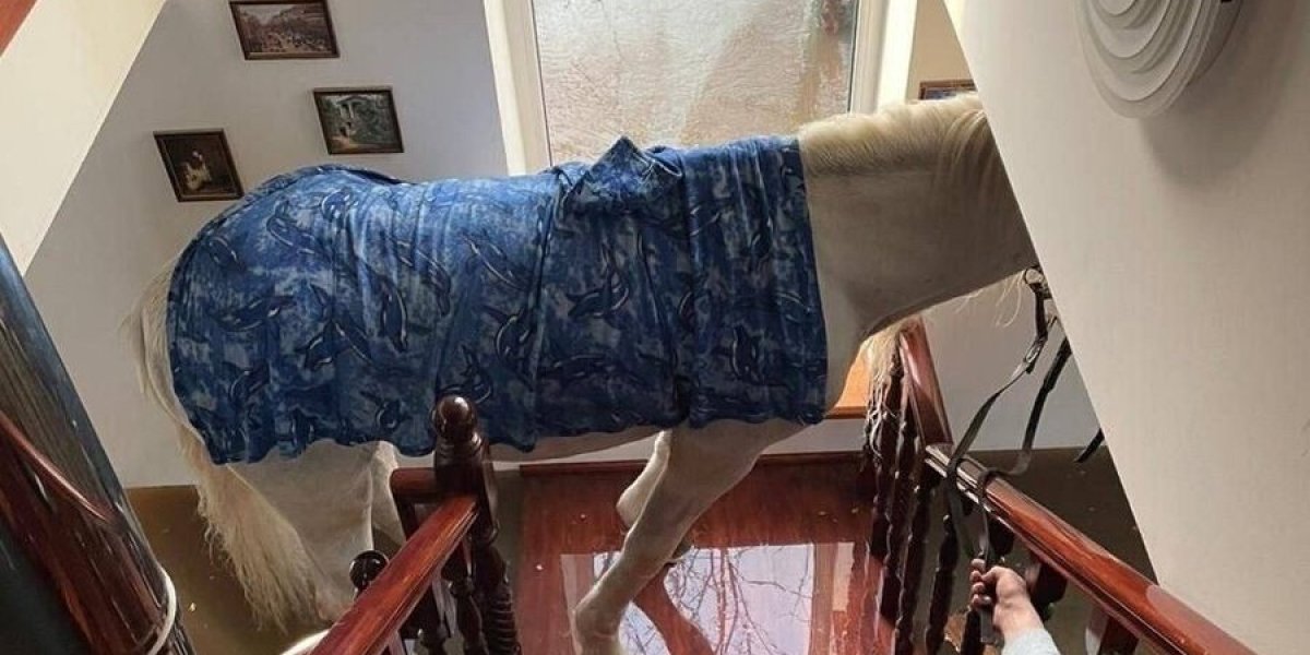 Белый конь 10 дней жил на балконе во время потопа в Оренбуржье: а вот спускаться со второго этажа наотрез отказался