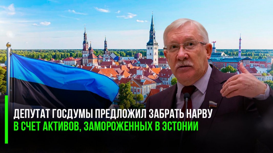 Депутат Госдумы предложил забрать Нарву в счёт активов, замороженных в Эстонии