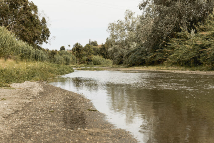 В Уфе спасли женщину, которая едва не утонула на озере Теплом