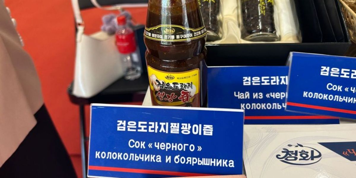 «С вас 1300 долларов»: чем северокорейцы удивляют на выставке во Владивостоке