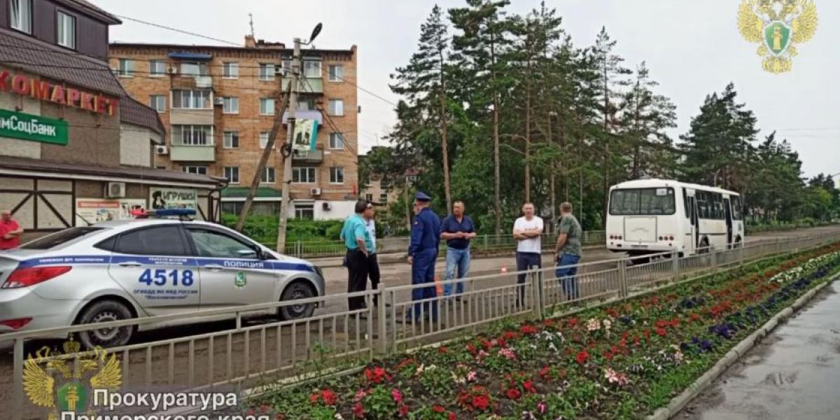 В Приморье ребенка, сбитого мотоциклом, отбросило под автобус