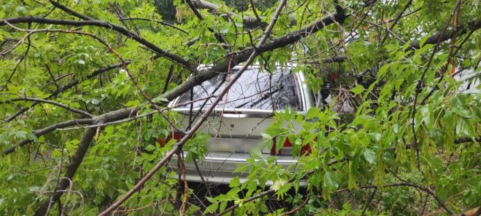 Сильный ветер в Уфе повалил деревья: пострадали шесть автомобилей