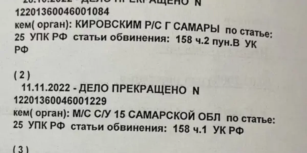 Мигранта, разбившего голову депутату Матвееву, отпустили. В Самаре действует Спрут