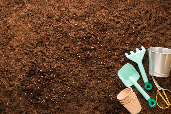 Дачники определяют кислотность почвы за 3 секунды: полезный навык