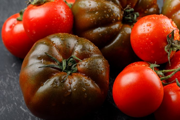 Полейте этим свои томаты: фитофтора больше не побеспокоит