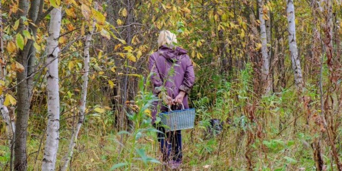 79-летнюю женщину нашли живой после шести дней, проведённых в лесу