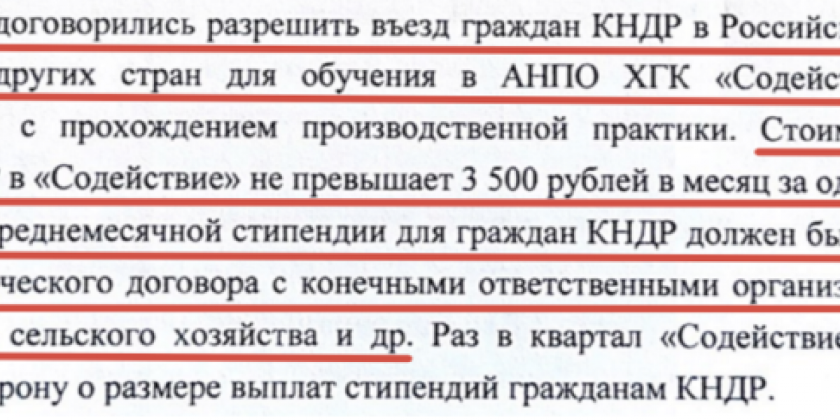 Рейд или налёт?: "Хозяева" мигрантов объявили русским открытую войну