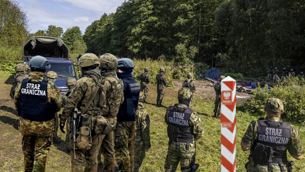 Польские силовики устроили массовый расстрел беженцев на границе с Беларусью, сообщил Следком РБ