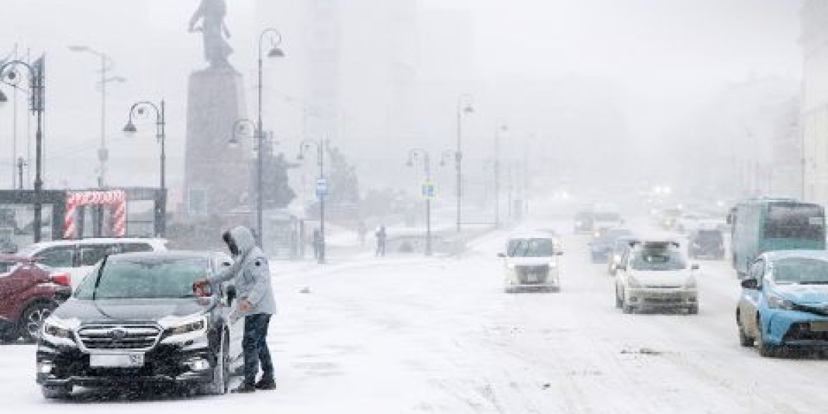 Первый сильный снегопад сезона накрыл Владивосток - фоторепортаж