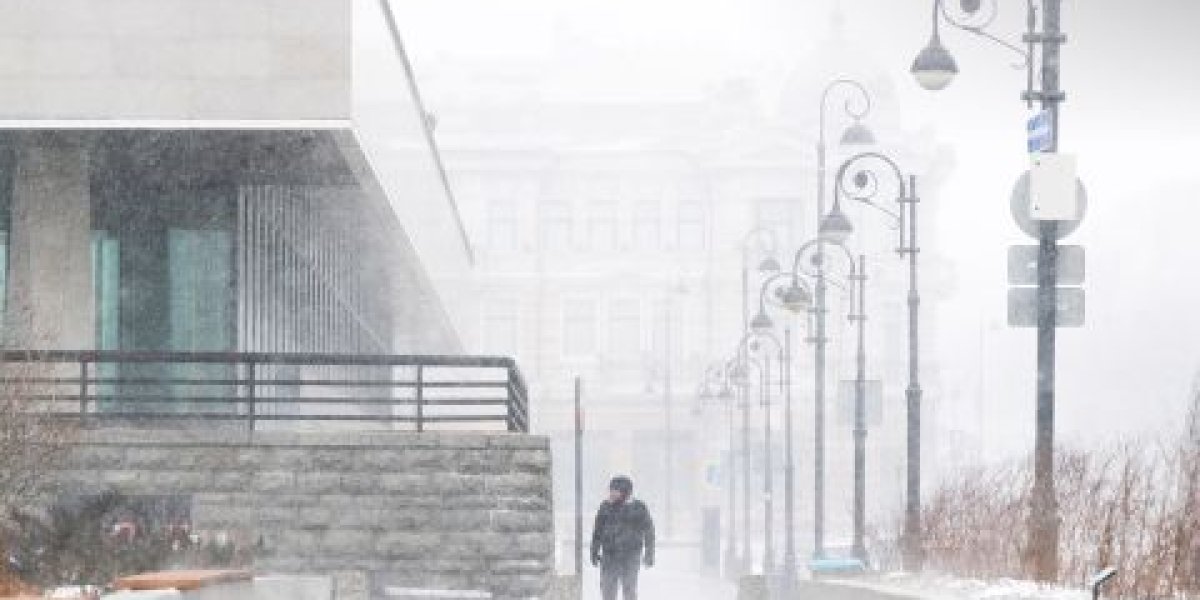 Первый сильный снегопад сезона накрыл Владивосток - фоторепортаж