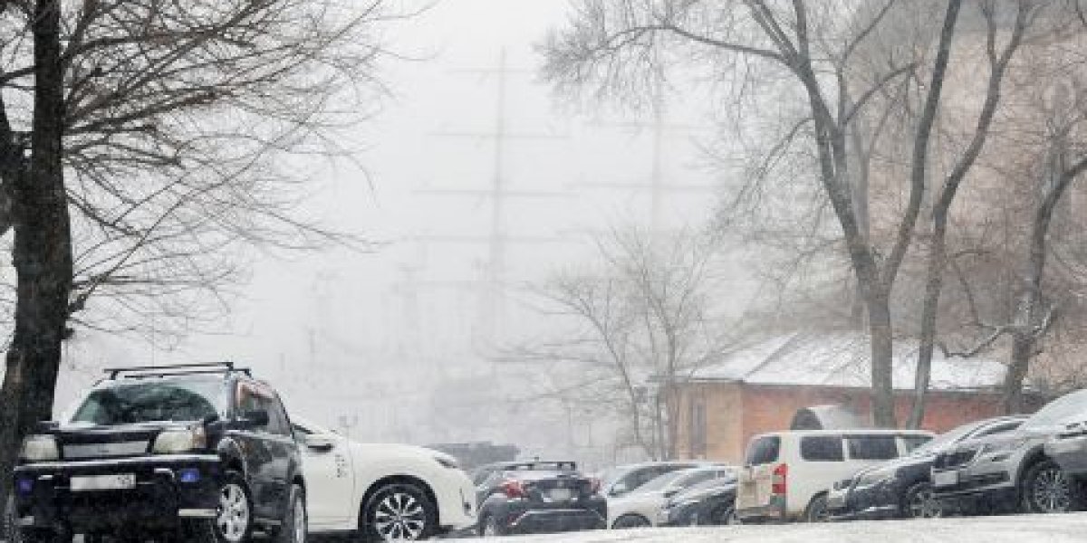 Первый сильный снегопад сезона накрыл Владивосток - фоторепортаж