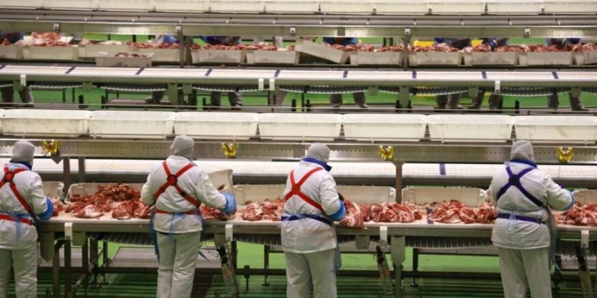 «Набиуллину доборолась с инфляцией. В США продукты дешевле, чем в России»: Брошка