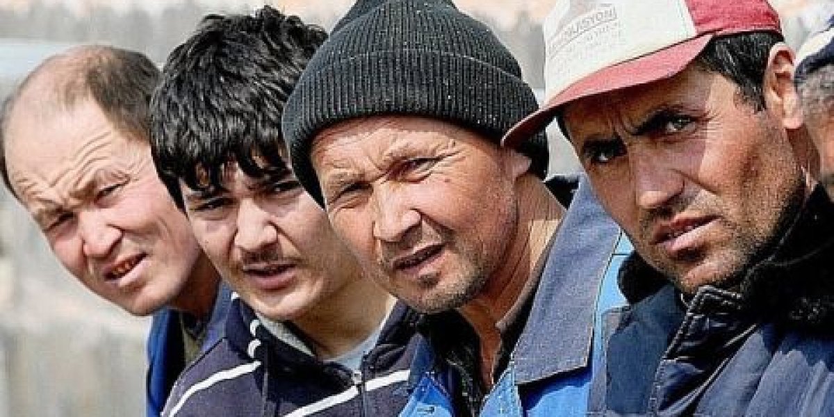 Следить и фиксировать: в столичном регионе запустят эксперимент по усиленному контролю за мигрантами