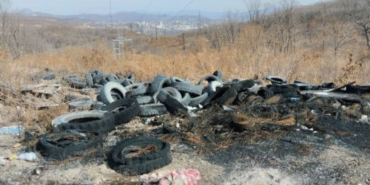 Находка вместе с прокуратурой почти полгода пытаются победить стихийную свалку