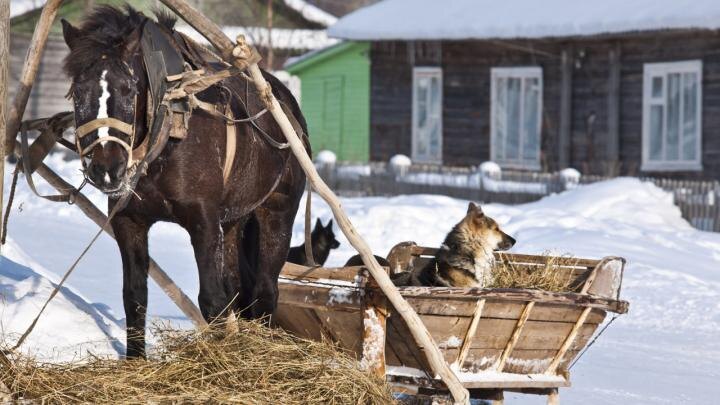 Француз сбежал из Парижа в русскую деревню и в ужасе вернулся. А потом начались чудеса