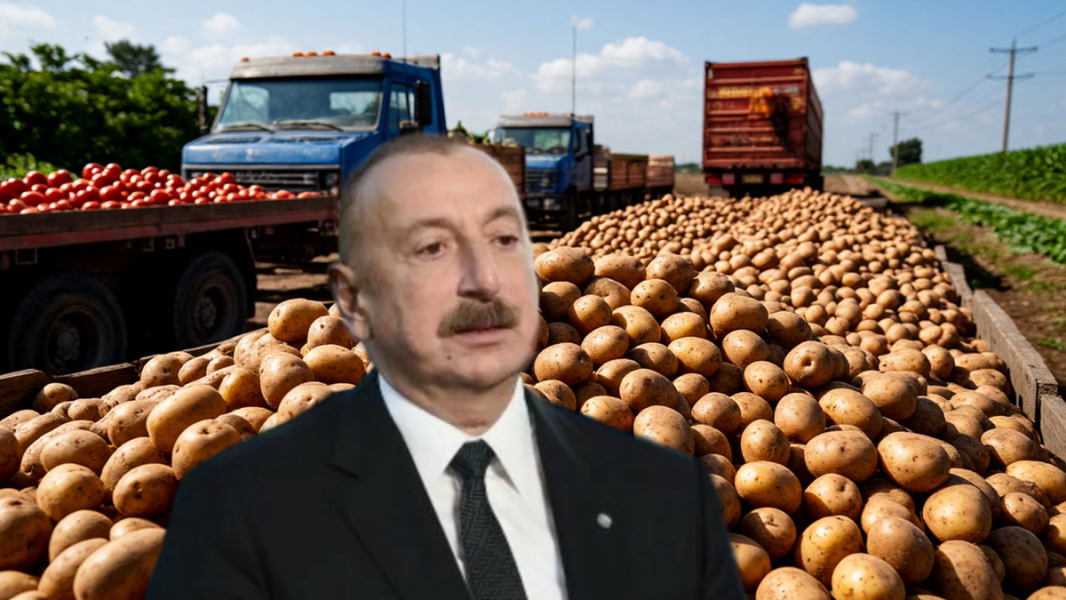 Азербайджан получил «ответку» – плодожорка и моль встали на защиту интересов РФ