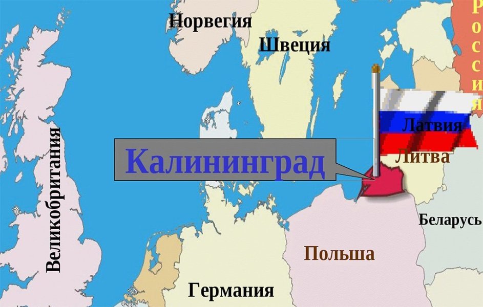 Калининград: Что общего между аистами и туристами?