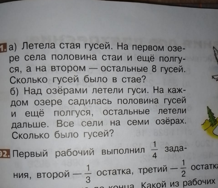 "На озеро село полгуся"! Чего мы ждем от образования, когда в учебниках такие задачи?
