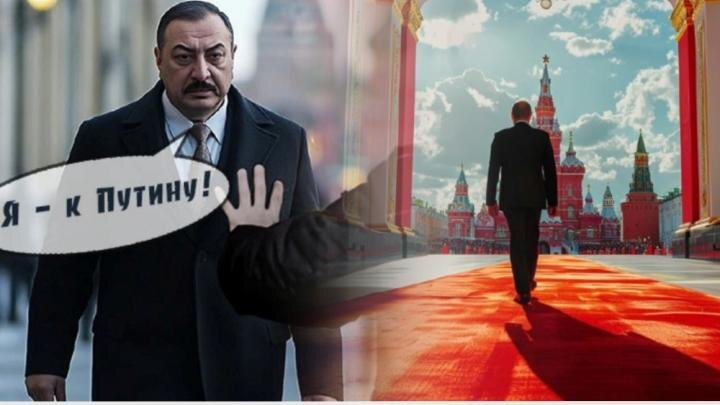 Алиеву не понравился выпад против "Садовода"? СМИ утверждают: "Это они по указке Кремля!"