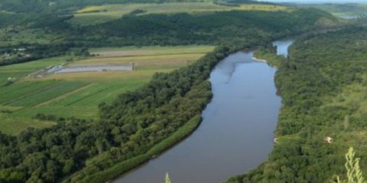 В Приморье появятся еще два муниципальных округа