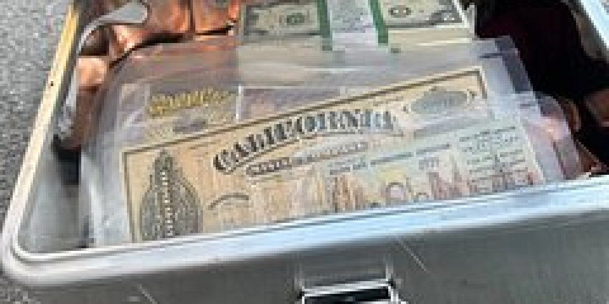 Три друга поучаствовали в охоте за сокровищами и выиграли благодаря интернет-подсказкам