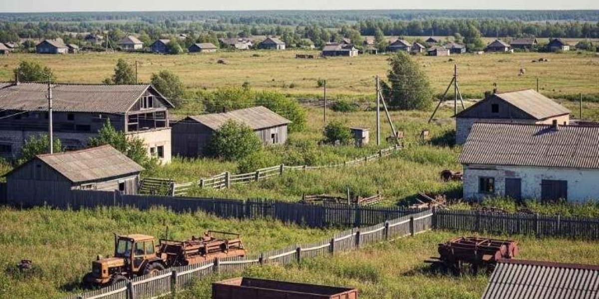 «Надо восстановить колхозы и совхозы!» Почему жители Башкирии массово бросили хозяйства