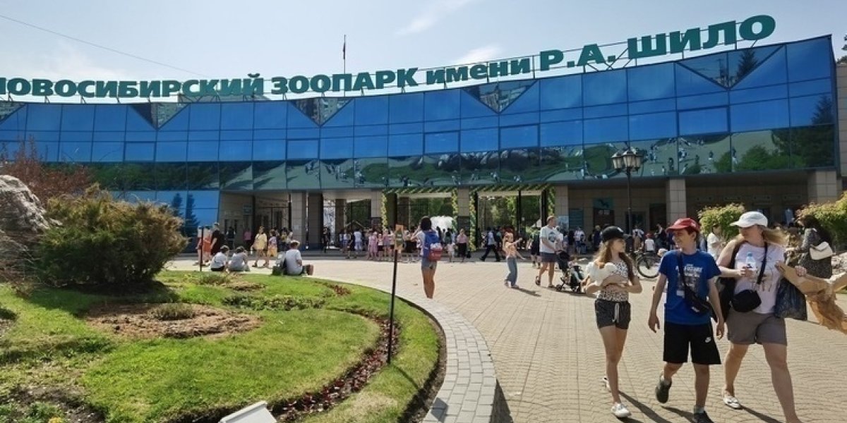 В Новосибирске может начать ходить бесплатный автобус до зоопарка
