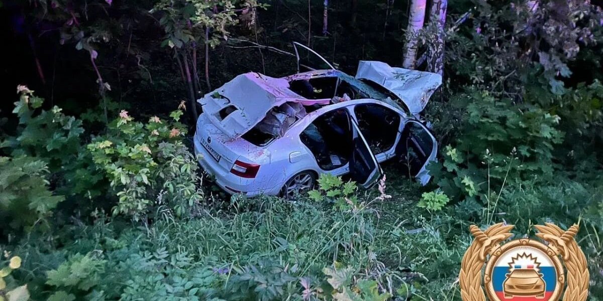 В Башкирии водитель и ребенок погибли в ДТП с лосем
