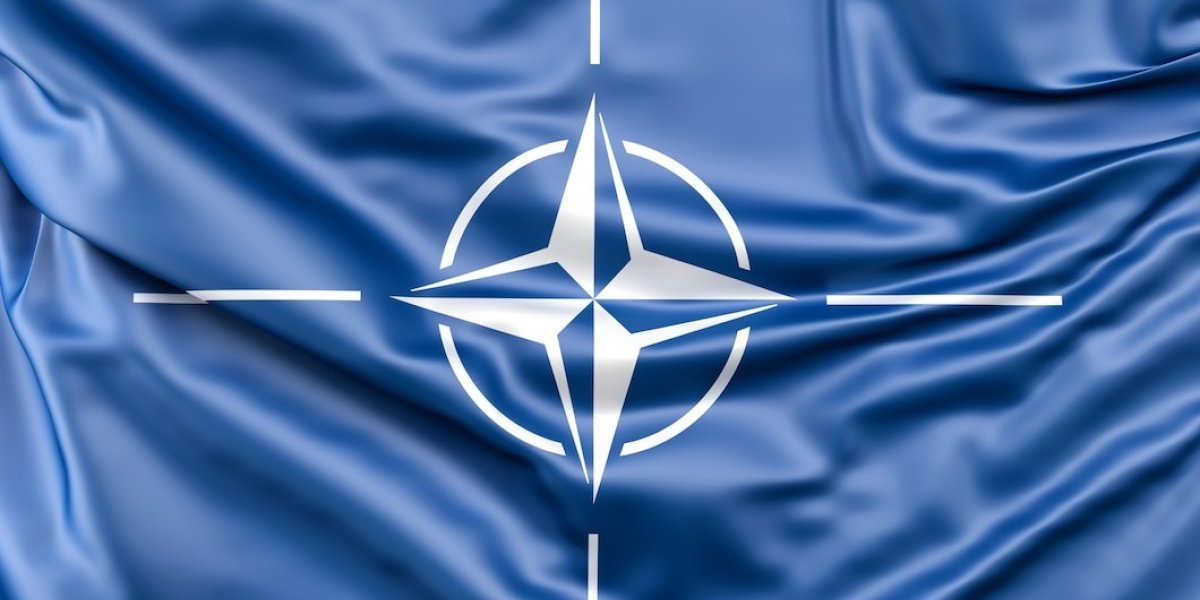 Welt: Зеленский был на саммите НАТО лишь массовкой
