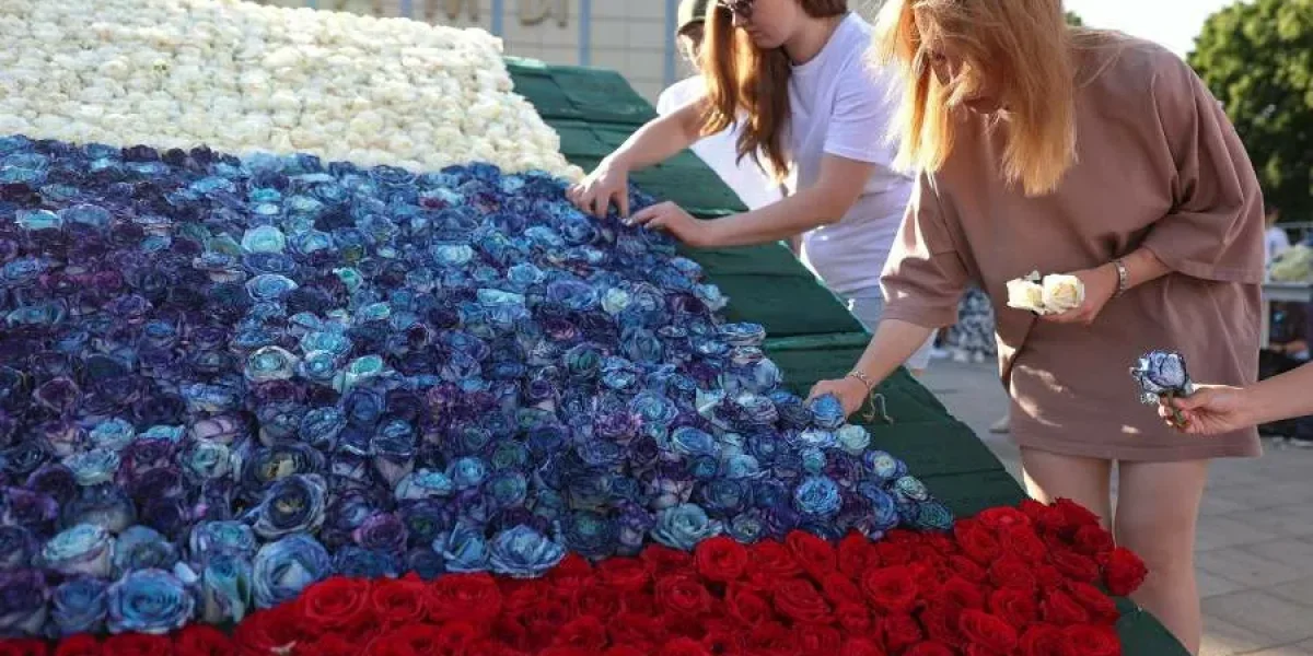 В Краснодаре ко Дню России создали гигантский триколор из 10 тысяч роз